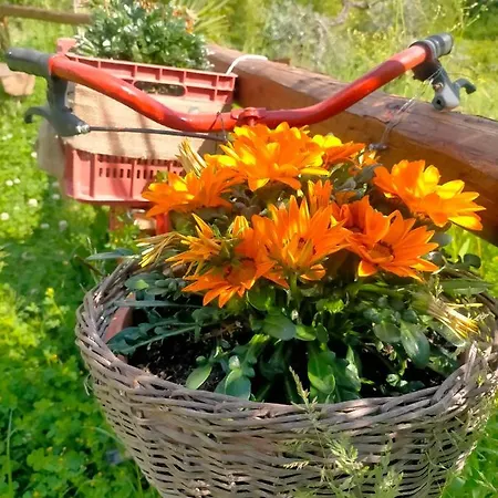 Loft, Il Giardino Sabino Daire *