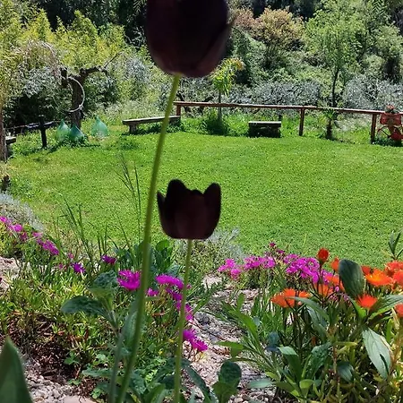Loft, Il Giardino Sabino *
