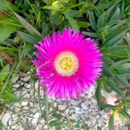 Loft, Il Giardino Sabino *