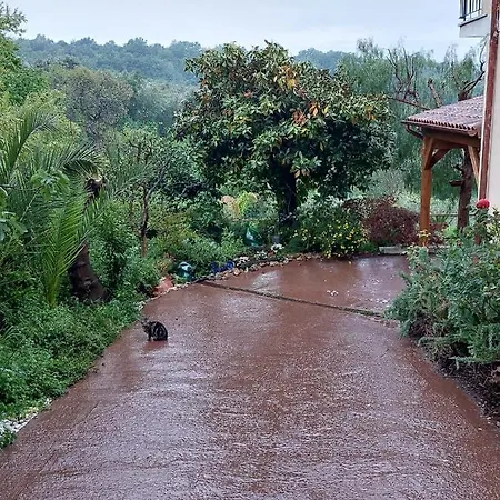 Loft, Il Giardino Sabino Daire