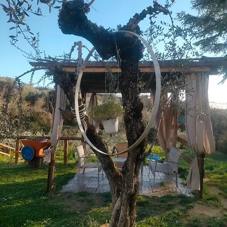 Loft, Il Giardino Sabino Palombara Sabina