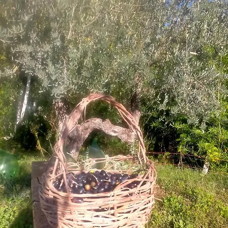 Loft, Il Giardino Sabino * Palombara Sabina